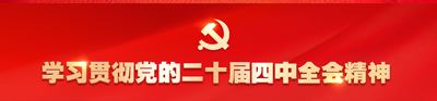 学习贯彻党的二十届四中全会精神
